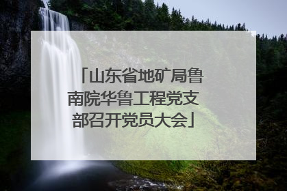 山东省地矿局鲁南院华鲁工程党支部召开党员大会