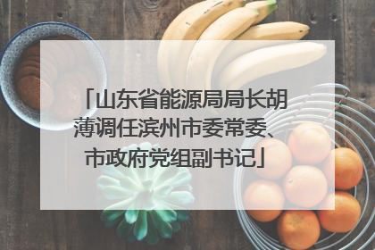 山东省能源局局长胡薄调任滨州市委常委、市政府党组副书记