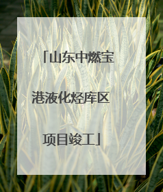 山东中燃宝港液化烃库区项目竣工
