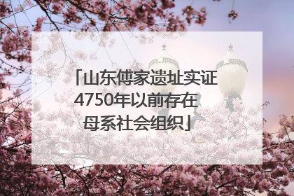 山东傅家遗址实证4750年以前存在母系社会组织