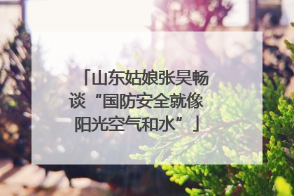 山东姑娘张昊畅谈“国防安全就像阳光空气和水”