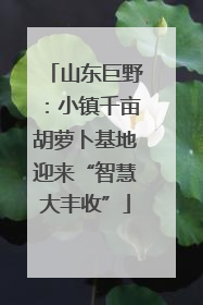山东巨野：小镇千亩胡萝卜基地迎来“智慧大丰收”