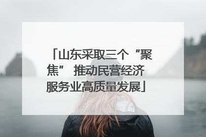 山东采取三个“聚焦” 推动民营经济服务业高质量发展