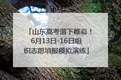 山东高考落下帷幕！6月13日-16日组织志愿填报模拟演练