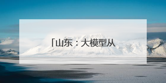 山东：大模型从“对话框”加速跑向“应用场”