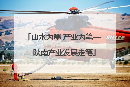 山水为墨 产业为笔——陕南产业发展走笔
