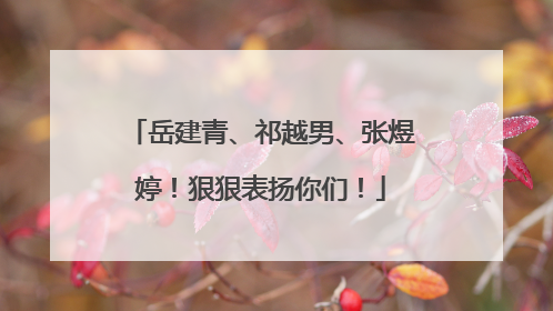 岳建青、祁越男、张煜婷！狠狠表扬你们！