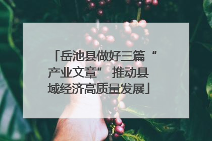 岳池县做好三篇“产业文章” 推动县域经济高质量发展