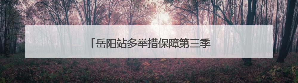 岳阳站多举措保障第三季度调图旅客出行安全有序