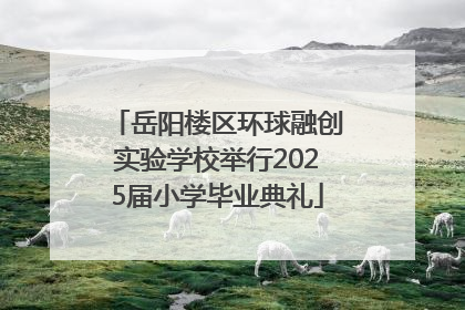 岳阳楼区环球融创实验学校举行2025届小学毕业典礼