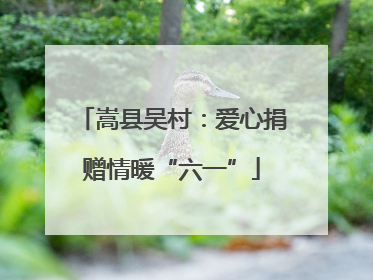 嵩县吴村：爱心捐赠情暖“六一”