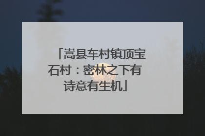 嵩县车村镇顶宝石村：密林之下有诗意有生机