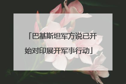 巴基斯坦军方说已开始对印展开军事行动
