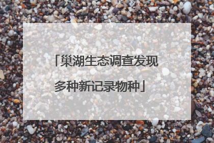 巢湖生态调查发现多种新记录物种