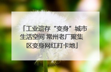 工业遗存“变身”城市生活空间 常州老厂聚集区变身网红打卡地