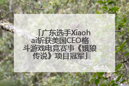 广东选手Xiaohai斩获美国CEO格斗游戏电竞赛事《饿狼传说》项目冠军