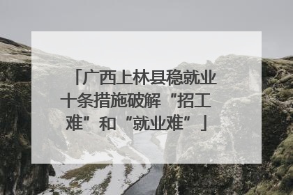 广西上林县稳就业十条措施破解“招工难”和“就业难”