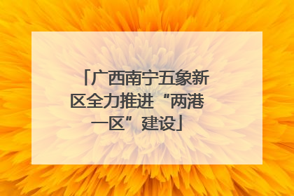 广西南宁五象新区全力推进“两港一区”建设
