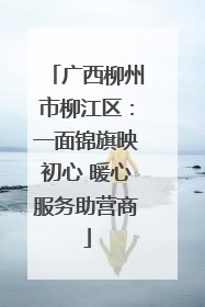 广西柳州市柳江区：一面锦旗映初心 暖心服务助营商