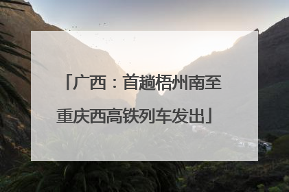 广西：首趟梧州南至重庆西高铁列车发出