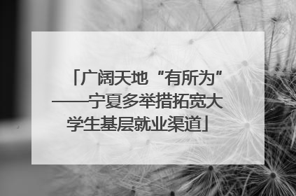 广阔天地“有所为”——宁夏多举措拓宽大学生基层就业渠道