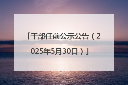 干部任前公示公告（2025年5月30日）