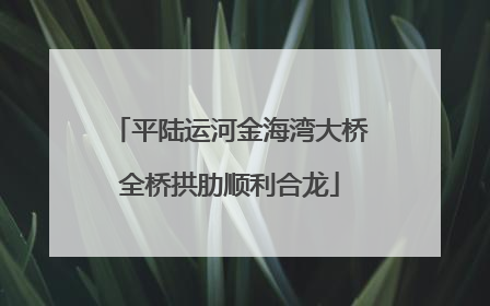 平陆运河金海湾大桥全桥拱肋顺利合龙