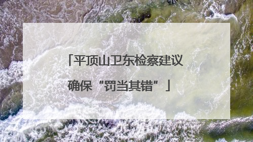 平顶山卫东检察建议确保“罚当其错”