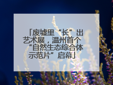 废墟里“长”出艺术展，温州首个“自然生态综合体示范片”启幕