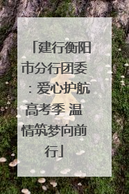 建行衡阳市分行团委：爱心护航高考季 温情筑梦向前行