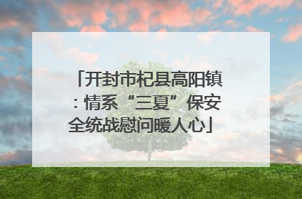 开封市杞县高阳镇：情系“三夏”保安全统战慰问暖人心
