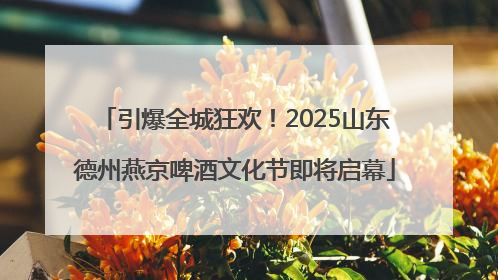 引爆全城狂欢！2025山东德州燕京啤酒文化节即将启幕
