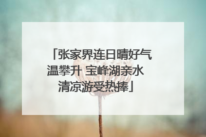 张家界连日晴好气温攀升 宝峰湖亲水清凉游受热捧