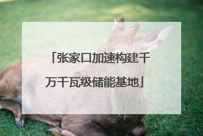 张家口加速构建千万千瓦级储能基地