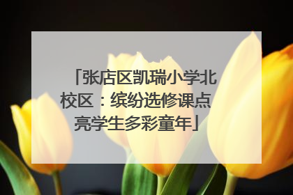 张店区凯瑞小学北校区：缤纷选修课点亮学生多彩童年