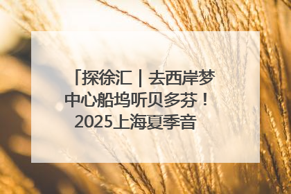 探徐汇｜去西岸梦中心船坞听贝多芬！2025上海夏季音乐节公布节目阵容