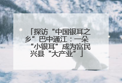 探访“中国银耳之乡”巴中通江：一朵“小银耳”成为富民兴县“大产业”