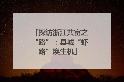 探访浙江共富之“路”：县城“虾路”焕生机