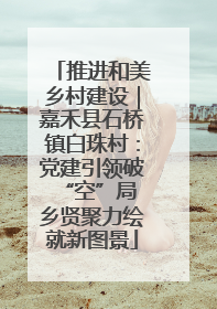 推进和美乡村建设｜嘉禾县石桥镇白珠村：党建引领破“空”局 乡贤聚力绘就新图景