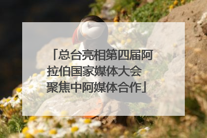 总台亮相第四届阿拉伯国家媒体大会 聚焦中阿媒体合作