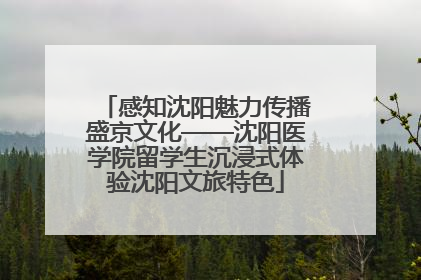 感知沈阳魅力传播盛京文化——沈阳医学院留学生沉浸式体验沈阳文旅特色