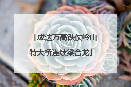 成达万高铁仗岭山特大桥连续梁合龙