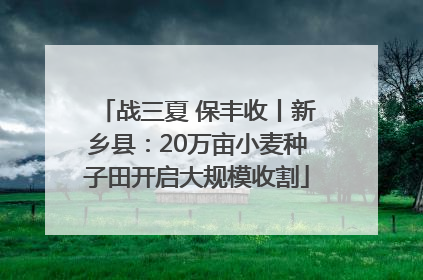 战三夏 保丰收丨新乡县：20万亩小麦种子田开启大规模收割