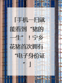 手机一扫就能看到“猪的一生”！宁乡花猪首次拥有“电子身份证”