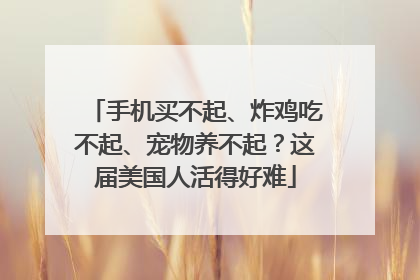 手机买不起、炸鸡吃不起、宠物养不起？这届美国人活得好难