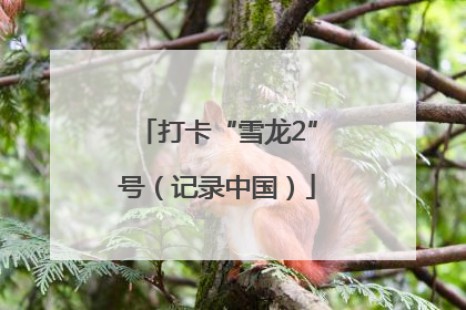 打卡“雪龙2”号（记录中国）