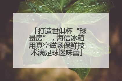 打造世俱杯“球景房”，海信冰箱用真空磁场保鲜技术满足球迷味蕾