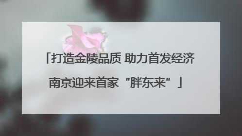打造金陵品质 助力首发经济 南京迎来首家“胖东来”