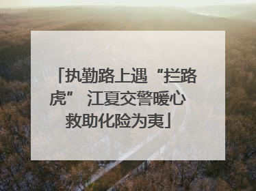 执勤路上遇“拦路虎” 江夏交警暖心救助化险为夷