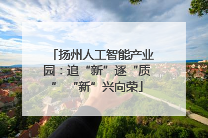 扬州人工智能产业园：追“新”逐“质” “新”兴向荣